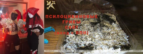 СК Богородицк