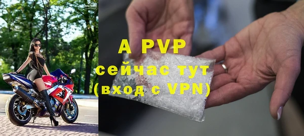 СК Богородицк