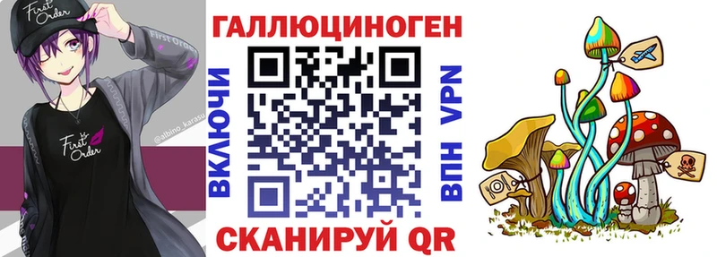 купить закладку  Мглин  OMG tor  Псилоцибиновые грибы Psilocybe 